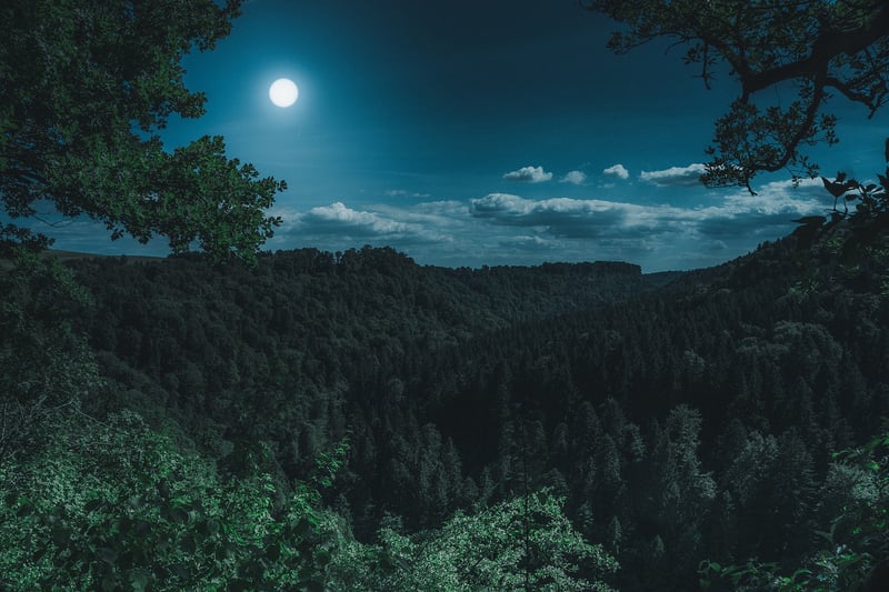 Lunar Colonization